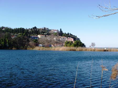 Lavanda Fiesa * Piran