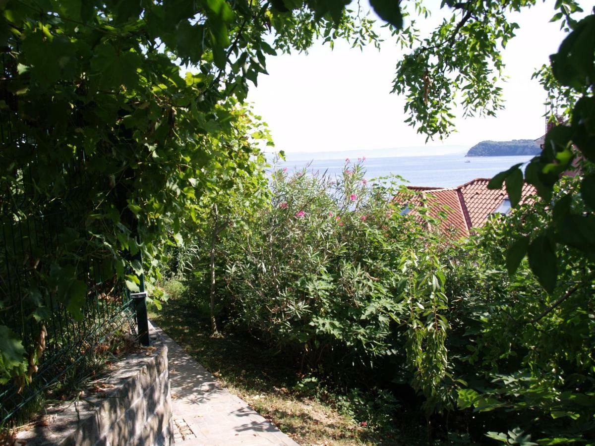 Lavanda Fiesa * Piran